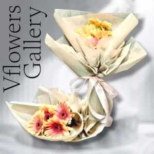 Gerbera Only